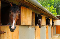 free Selly Park stable construction quotes